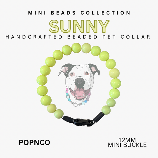 Mini SUNNY