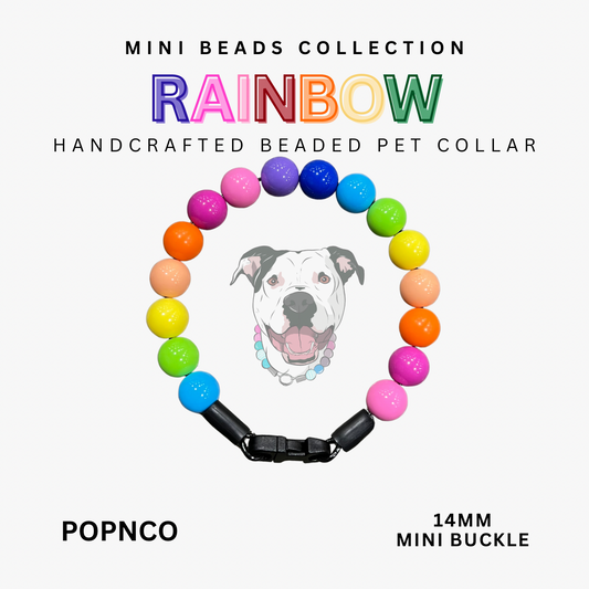 Mini RAINBOW