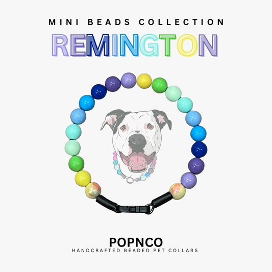Mini REMINGTON
