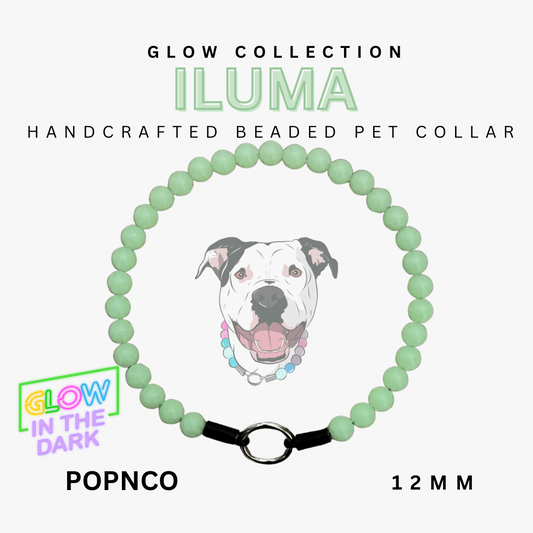 Green beaded pet collar with a dog illustration and product details on a white background