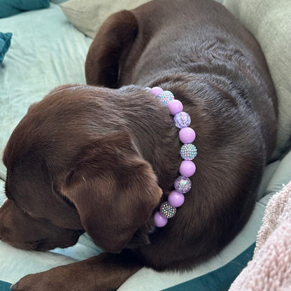 Dog wearing a colorful collar, lying on a couch with text about a new collar from a brand.