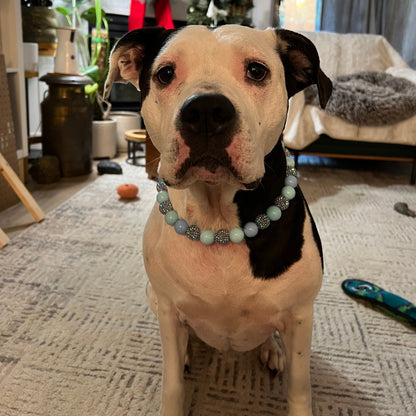 Black and White dog sitting in a living room wearing The Indie POPNCO Beaded pet Collar featuring solid Cowboy Blue and light blue acrylic beads mixed with blue, red and purple rhinestone bayberries on aircraft grade stainless steel wire