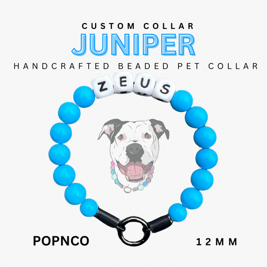 Blue beaded pet collar with 'ZEUS' on a white background