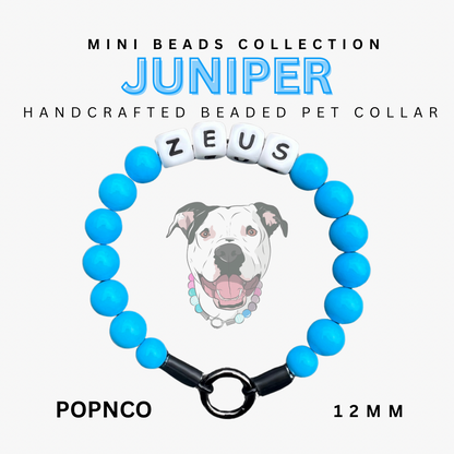 Handcrafted beaded pet collar with blue beads and black clasp, featuring the name 'Zeus'.