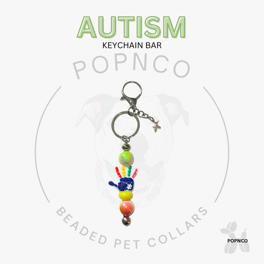 Keychain Bar - AUTISM