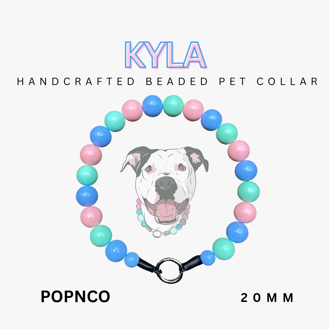 Handcrafted beaded pet collar with colorful beads and a dog illustration on a white background.