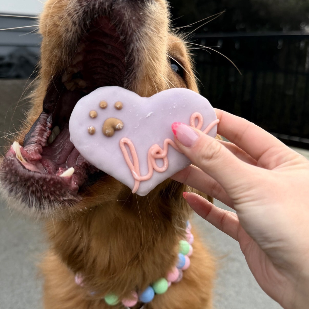 Dog taking a heart-shaped cookie with 'love' written on it from a person's hand. POPNCO beaded collar, Beaded dog collar, Breathable dog collar, cat collar, Comfortable Dog Collar, dog collar, Durable dog collar, Easy to clean dog collar, fashion collar, handmade, Pet accessories, pet collar, Popnco dog collar, slip on collar, Slip on dog collar, Stylish dog collar