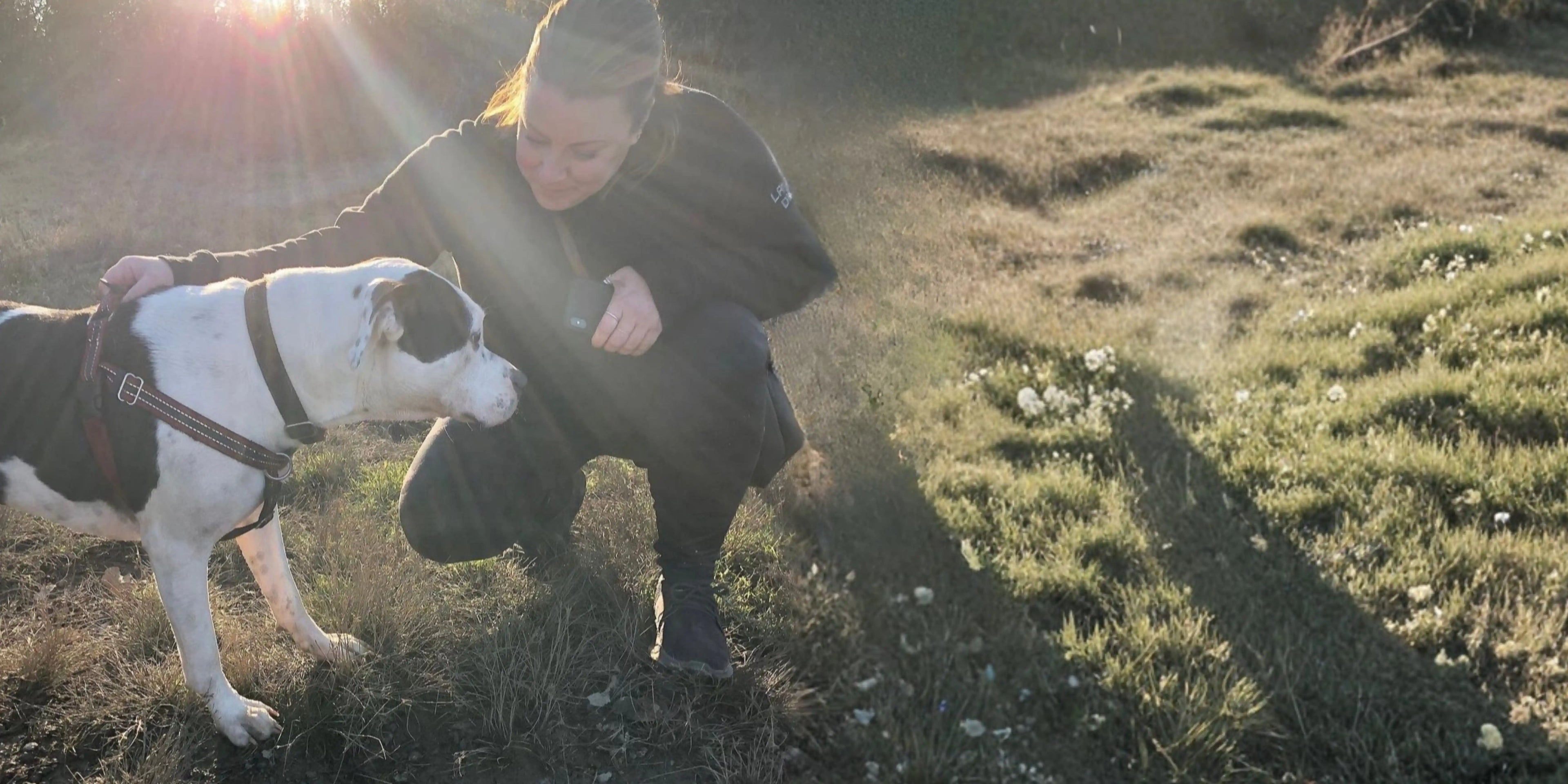 Owner and Founder of POPNCO Beaded Pet Collars Lisa Jeffery petting a her rescue dog Poppy who is a black and white Pitbull, boxer, great pyrenes in a grassy field with sunlight casting shadows