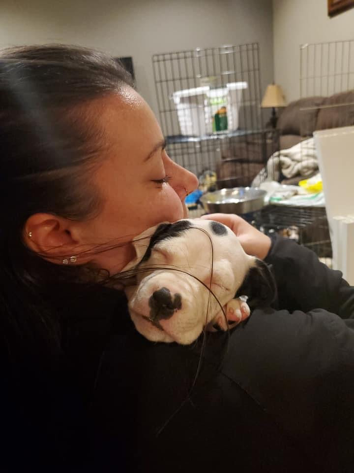 Person holding a small dog in a home setting