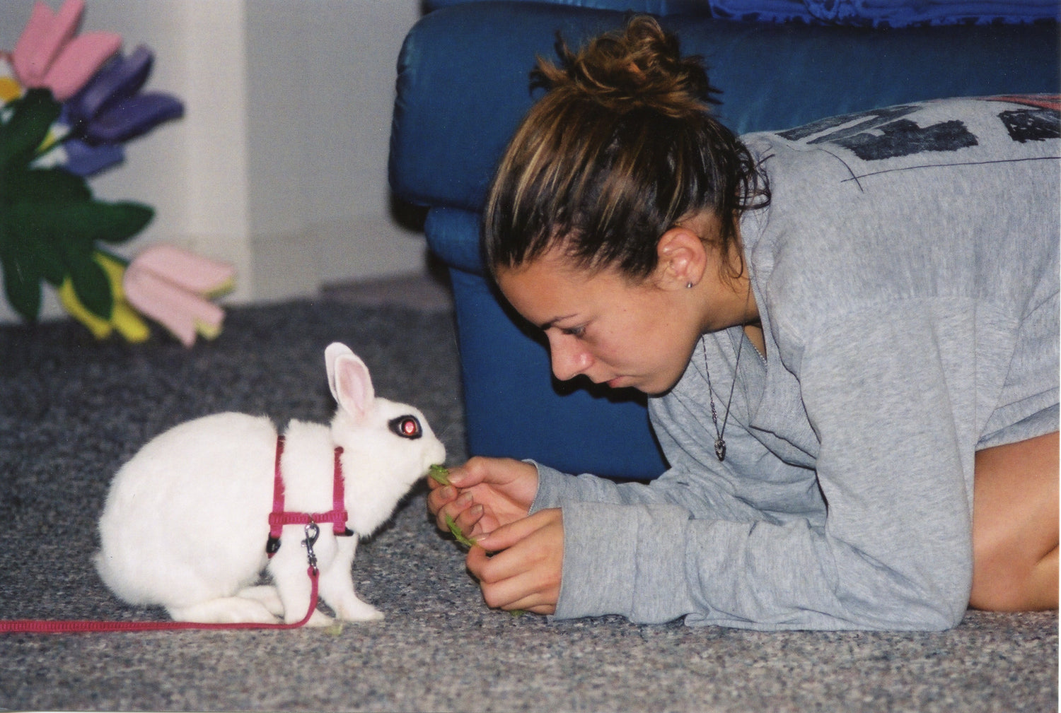Woman interacting with a white rabbit on a carpeted floor.