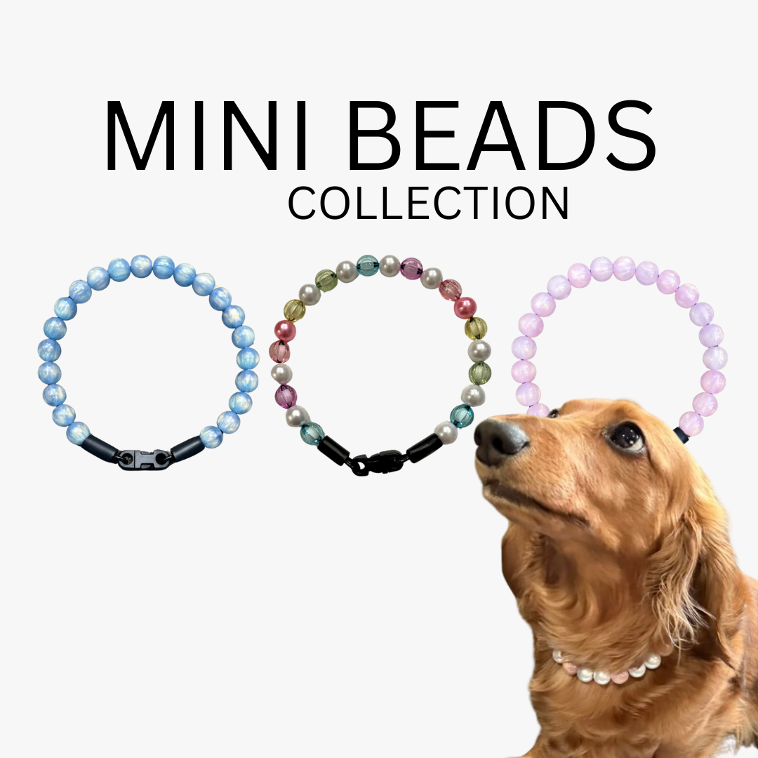 Three mini bead collars with a dog wearing one of them on a white background, labeled 'Mini Beads Collection'.