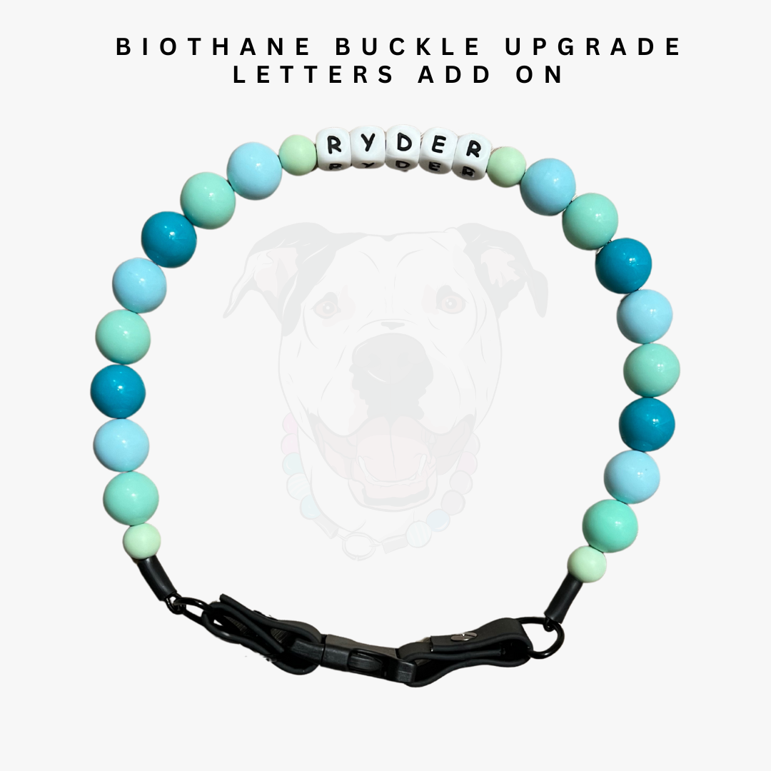 Turquoise beaded bracelet with a biothane buckle and customizable letters on a white background.
