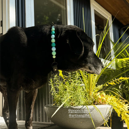 Dog standing on a deck with plants and a building in the background, wearing a Stella & Dot necklace. POPNCO beaded collar, Beaded dog collar, blue dog collar, Breathable dog collar, cat collar, Collar for sensitive skin dogs, Comfortable Dog Collar, dog collar, Durable dog collar, Easy to clean dog collar, fashion collar, handmade, Pet accessories, pet collar, Popnco dog collar, slip on collar, Slip on dog collar, Stylish dog collar