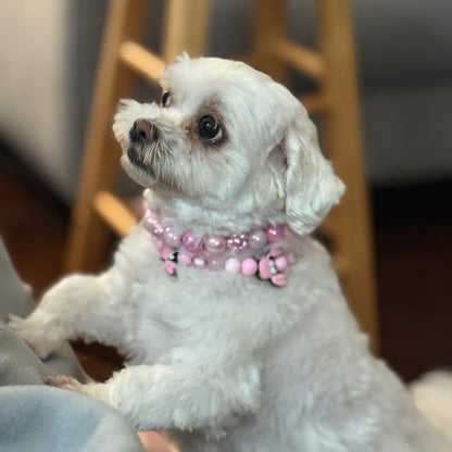 Small white dog wearing a pink beaded collar indoors POPNCO Acrylic Beads, beaded collar, Beaded dog collar, beaded necklace, Breathable dog collar, cat collar, Cat necklace, Collar for sensitive skin dogs, Comfortable Dog Collar, dog collar, dog Necklace, Durable dog collar, Easy to clean dog collar, fashion collar, handmade, Pet accessories, pet collar, pet necklace, slip on collar, Slip on dog collar, Stylish dog collar