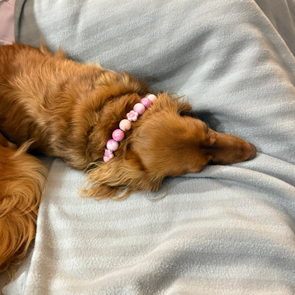 Dog with a pink beaded collar lying on a soft surface POPNCO Acrylic Beads, beaded collar, Beaded dog collar, beaded necklace, Breathable dog collar, cat collar, Cat necklace, Collar for sensitive skin dogs, Comfortable Dog Collar, dog collar, dog Necklace, Durable dog collar, Easy to clean dog collar, fashion collar, handmade, Pet accessories, pet collar, pet necklace, slip on collar, Slip on dog collar, Stylish dog collar