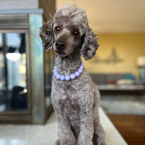 Mini NORA
