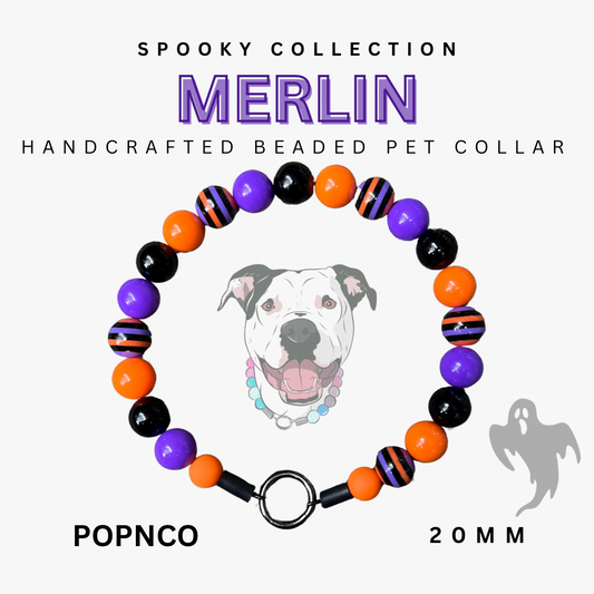 Colorful beaded pet collar with 'Spooky Collection Merlin' branding on a white background.