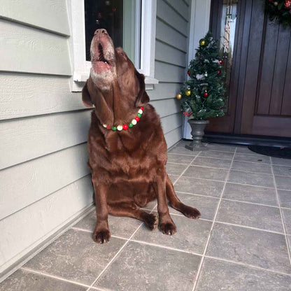 POPNCO Mistletoe Beaded Pet Collar. made on Aircraft grade Stainless Steel wire  from POPNCO's Winter Collection strung on aircraft grade stainless steel wire