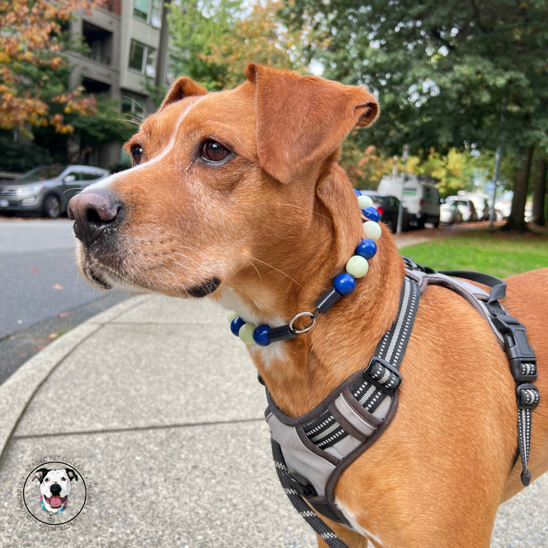 Pitbull mix wearing The Belladonna - Halloween collection - Handmade Slip on Beaded Pet Collar made with dark blue and green acrylic beads - customizable - Durable