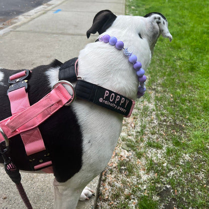 Moonlight Purple - slip on Beaded dog Collar - Made with alternating purple acrylic beads mixed with faceted purple crescent moon beads - aircraft stainless steel and a o ring - Durable - handmade - customizable - comfortable 