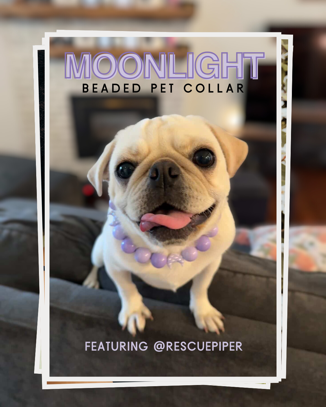 Dog wearing a 'Moonlight Beaded Pet Collar' with text overlay in a home setting.