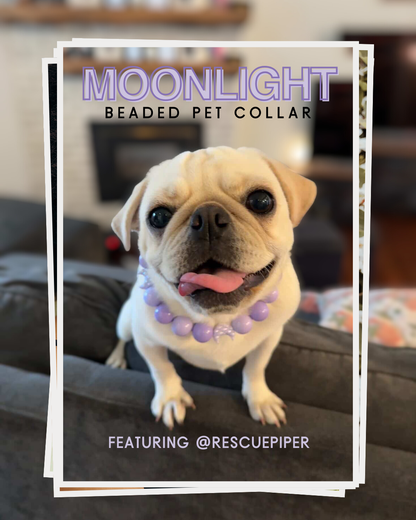 Dog wearing a 'Moonlight Beaded Pet Collar' with text overlay in a home setting.