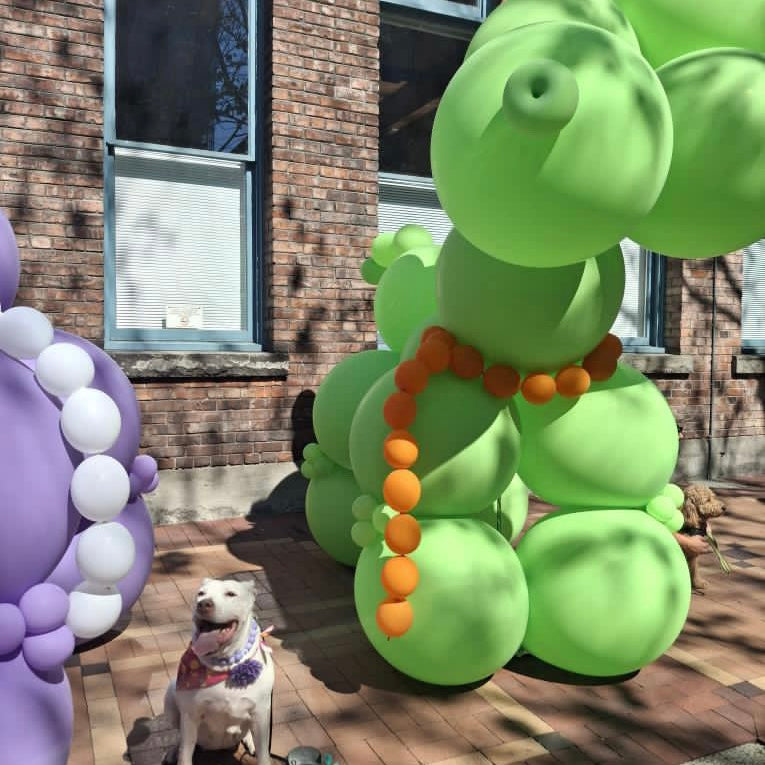 Dog standing next to a large green balloon animal with a brick building in the background