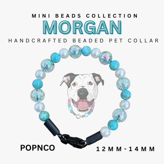 Mini MORGAN