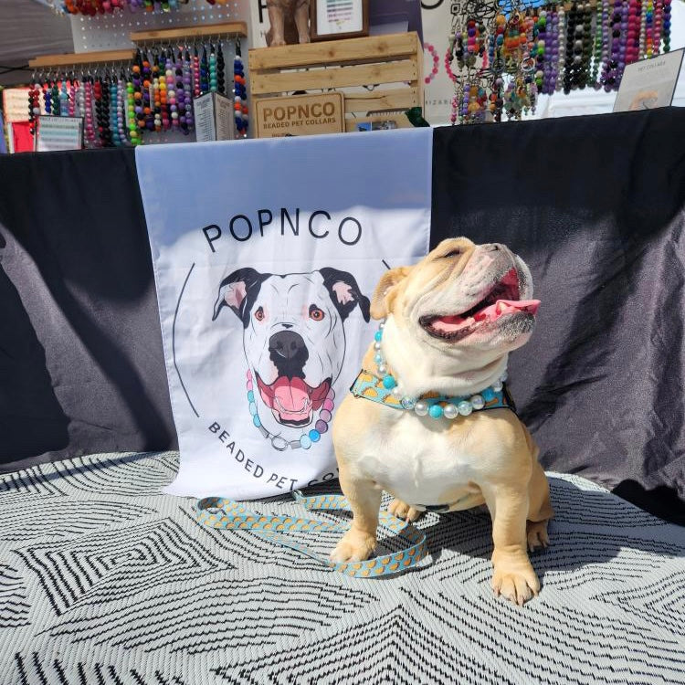 Dog wearing a beaded collar with a POPNCO sign in the background
