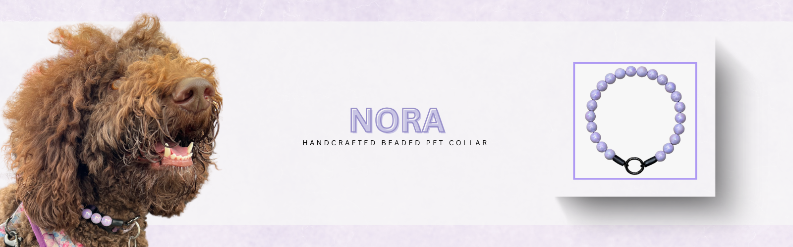 Dog wearing a purple pet collar with 'Nora' branding on a light purple background