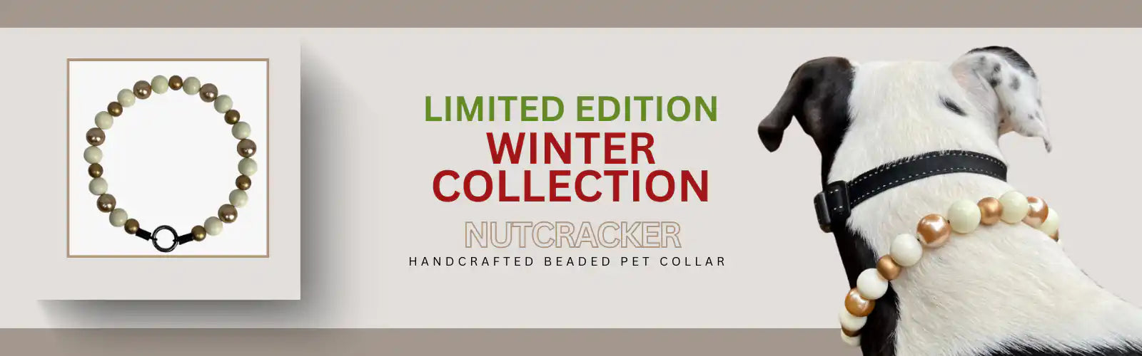 Dog wearing a beaded pet collar with a limited edition winter collection sign in the background.
