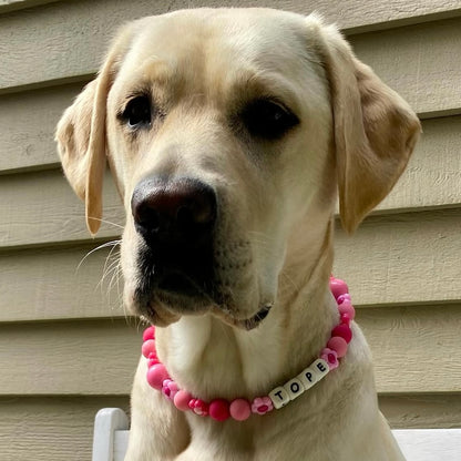 Dog wearing a pink beaded collar with a name tag in front of a beige wall. POPNCO