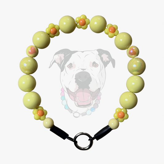 Pet Collar with yellow beads and a dog's face in the center on a white background