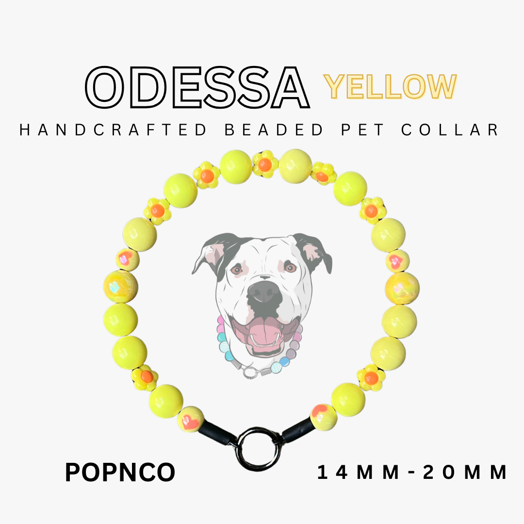 Handcrafted beaded pet collar with yellow beads and a dog illustration on a white background.