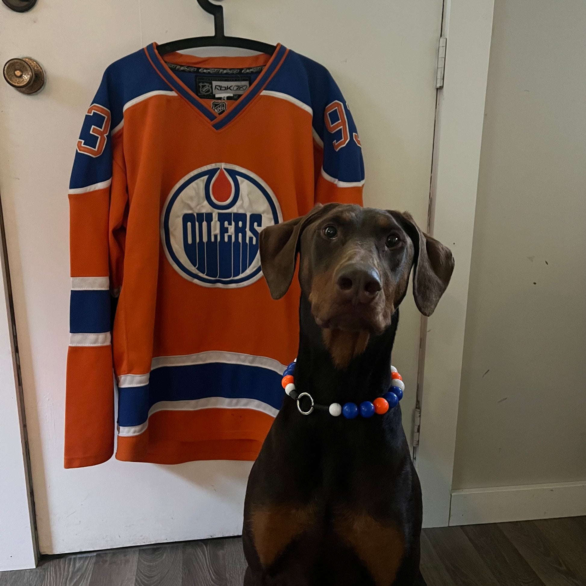 Dog wearing a blue and orange Oilers jersey with a hanger on a door POPNCO