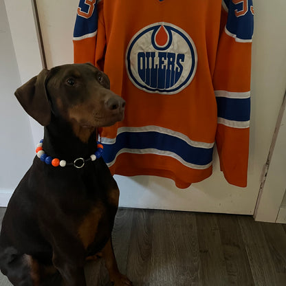 Dog sitting in front of an Edmonton Oilers hockey jersey POPNCO