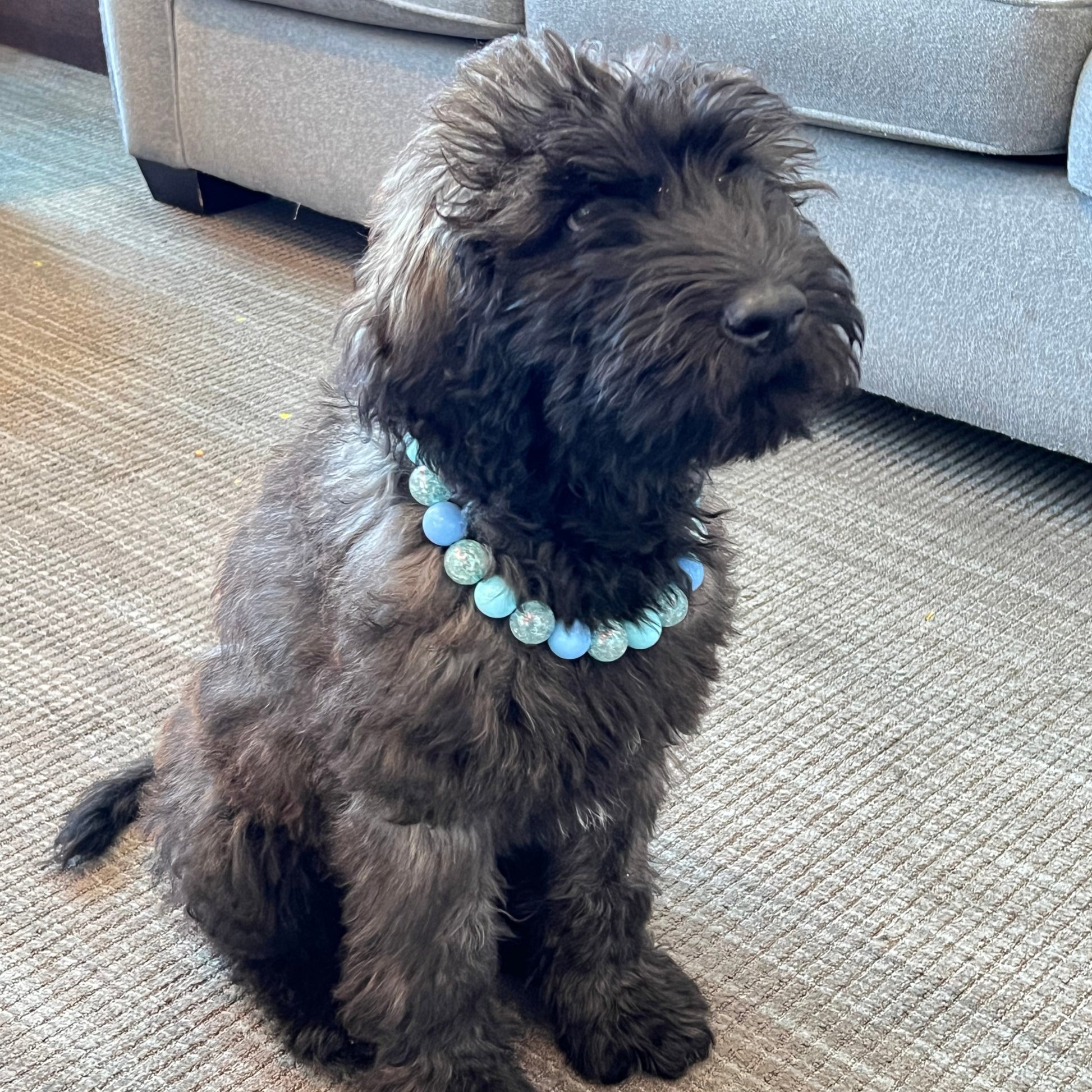 The Ollie - Slip on Beaded dog Collar - Made with light blue acrylic beads - aircraft stainless steel and a o ring - Durable - handmade - customizable - comfortable - Whoodle 