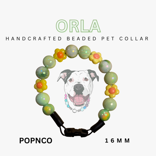 Handcrafted beaded pet collar with a dog illustration on a white background, featuring the brand 'Orla'. POPNCO