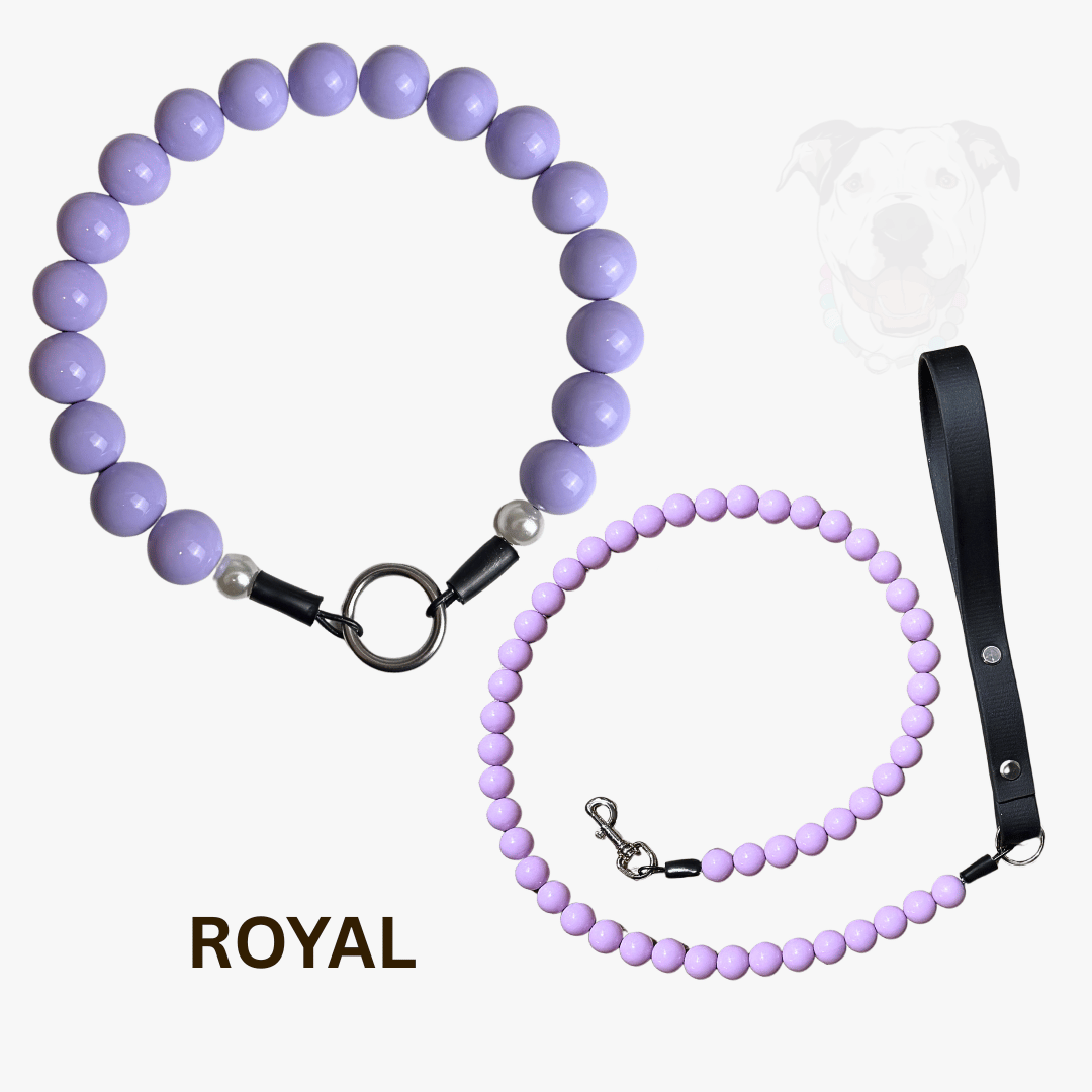 THE ADVENTURE DUO - Royal Beaded Collar and Leash