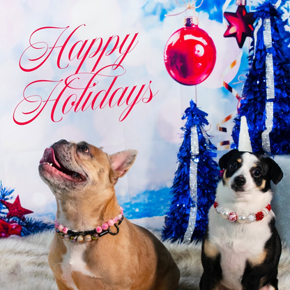 POPNCO Acrylic Beads, beaded collar, 16mm Dasher POPNCO Beaded pet Collar laying flat on a white background. the collar features AB 16mm acrylic beads on aircraft grade stainless steel wire. dog on the right is wearing the the Elfie beaded pet collar from the Winter collection featuring alternating red and white beads in rhinestone bayberries, pearls, flat and solid textures. 