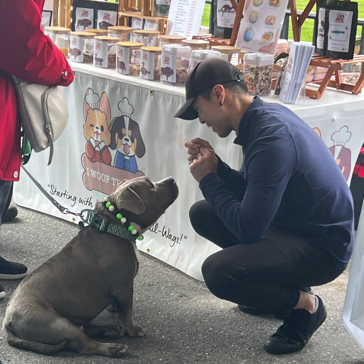 Man crouching down to interact with a dog at an outdoor event with a branded backdrop. the dog is wearing a White, Lime Green and Black Beaded Pet Collar called Conjuring from the POPNCO beaded Pet Collar Spooky Collection. made with Aircraft grade stainless steel wire and acrylic and resin beads.