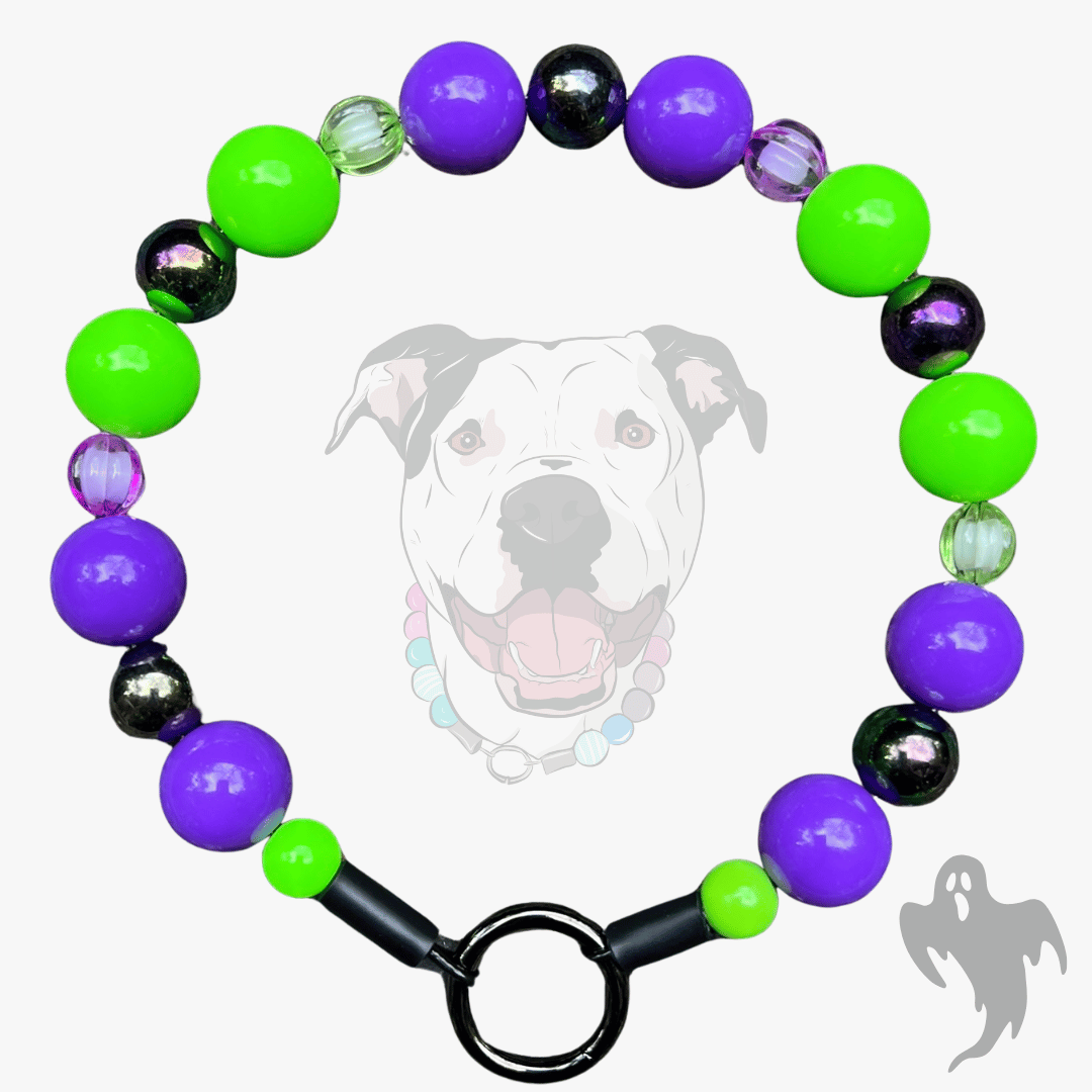 A beaded dog collar with purple, neon green, and black beads, featuring a black metal ring clasp. A faint graphic of a pitbull dog wearing the collar is displayed in the background.