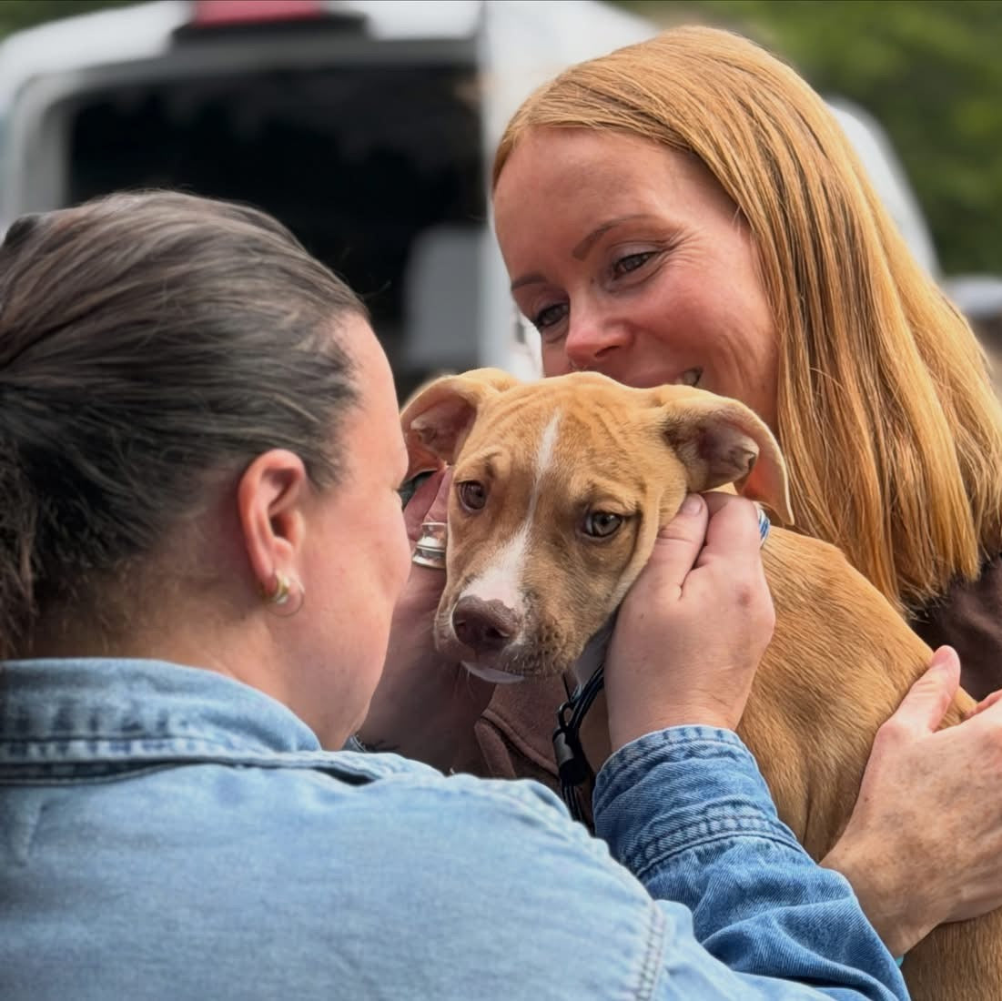 A woman with blonde hair smiles while holding a small brown and white dog, with another person in a denim jacket gently touching the dog's face in an outdoor setting.