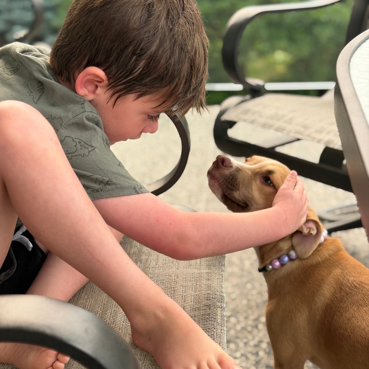 A young boy sitting on an outdoor patio chair gently pets a brown dog wearing a purple patterned collar. The scene is set on a paved patio with patio chairs and a blurred green garden background.