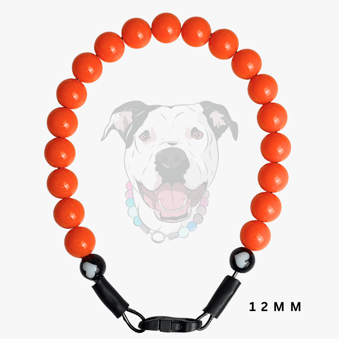 An orange beaded dog collar with black hardware and a black clasp, shown against a light gray background with a faint dog graphic and '12 MM' text.