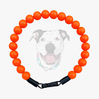 POPNCO 12mm Hunter Solid Orange beaded dog collar with a black clasp on a white background