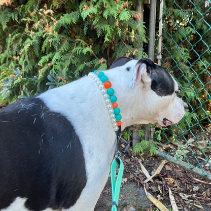A black and white dog wearing a colorful beaded collar with turquoise, orange, and white beads, standing outdoors next to a green chain-link fence.
