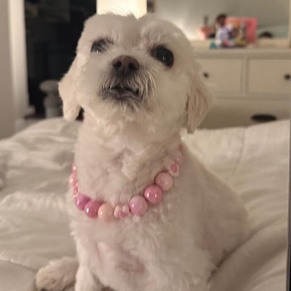 MAISY (16mm)