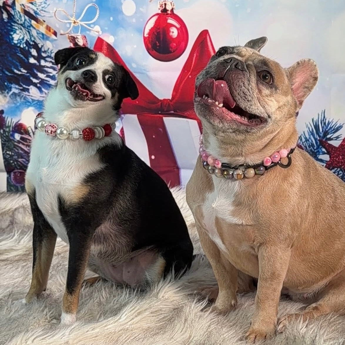 Two dogs sitting on a fluffy surface with Christmas decorations and ornaments in the background. POPNCO beaded collar. Dog on the left is wearing the Elfie beaded pet collar from the Winter collection featuring alternating red and white beads in rhinestone bayberries, pearls, flat and solid textures. 
