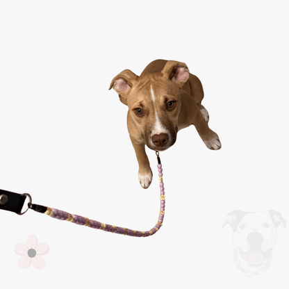 THE ULTIMATE TRIO | Orabel Beaded Collar, Leash and Keychain Wristlet